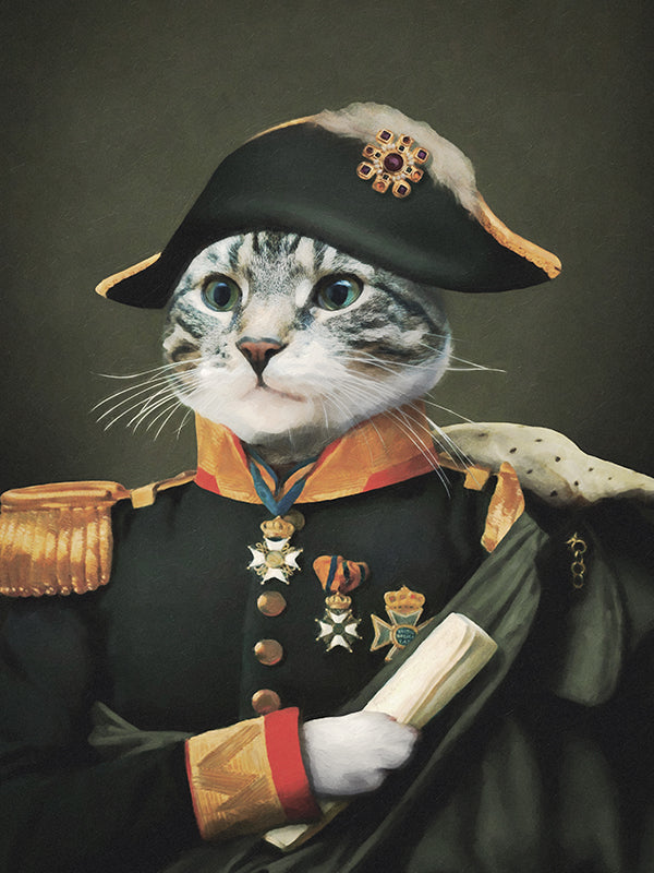 Napoleon - benutzerdefinierte Küsse