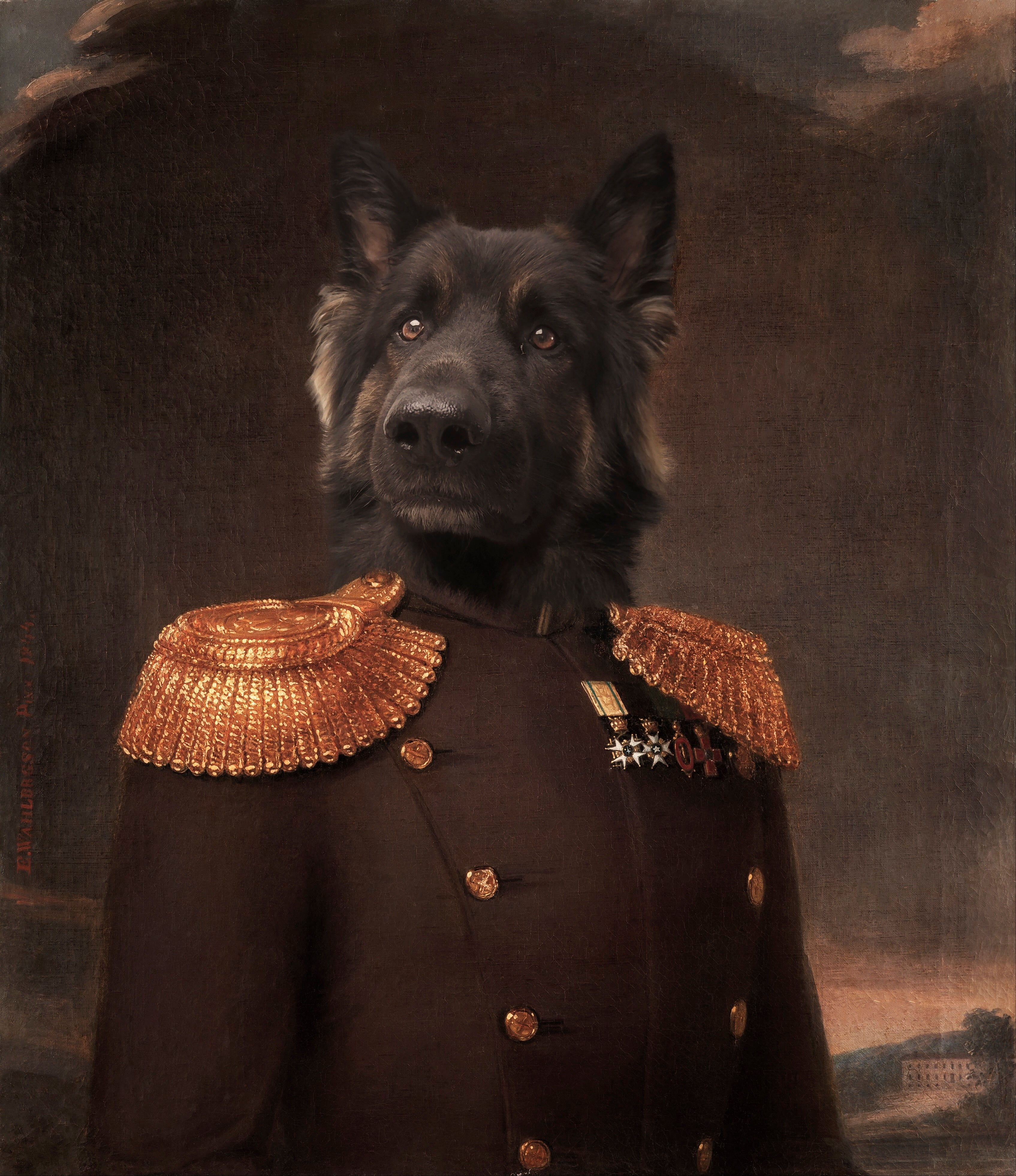 König Napoleon